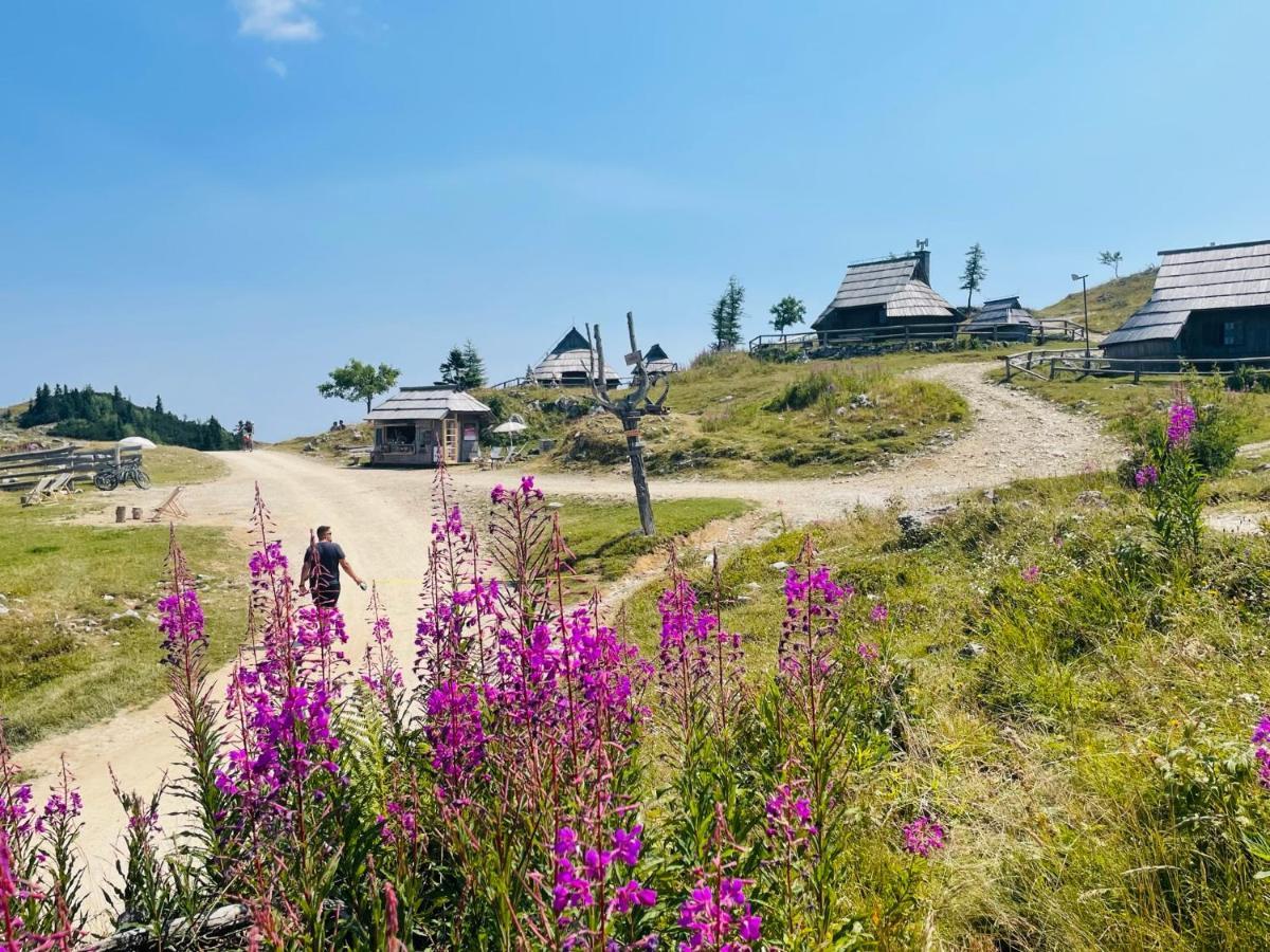Villa Velika Planina Koca Kekec Stahovica Exterior foto